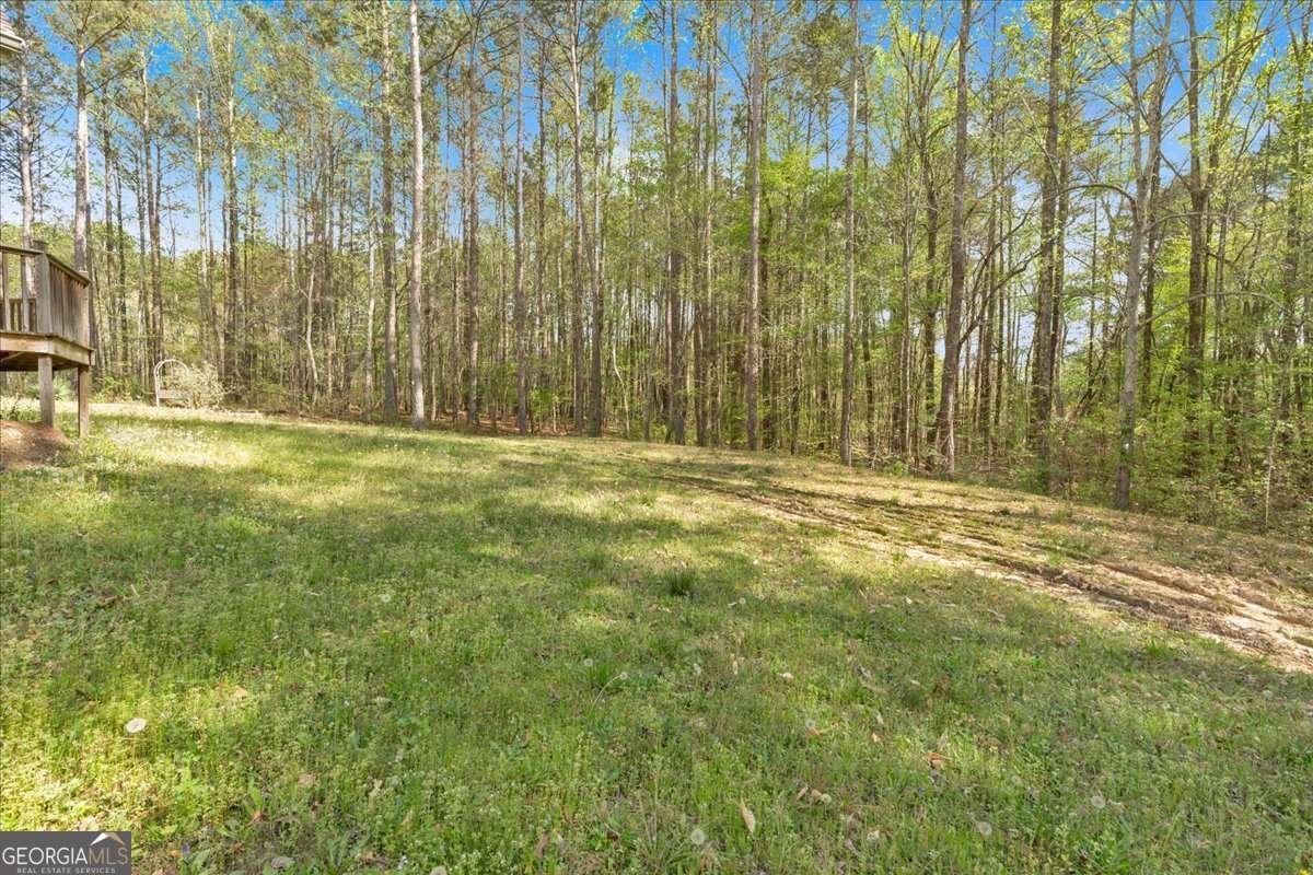 3800 Macland Road Hiram - 52