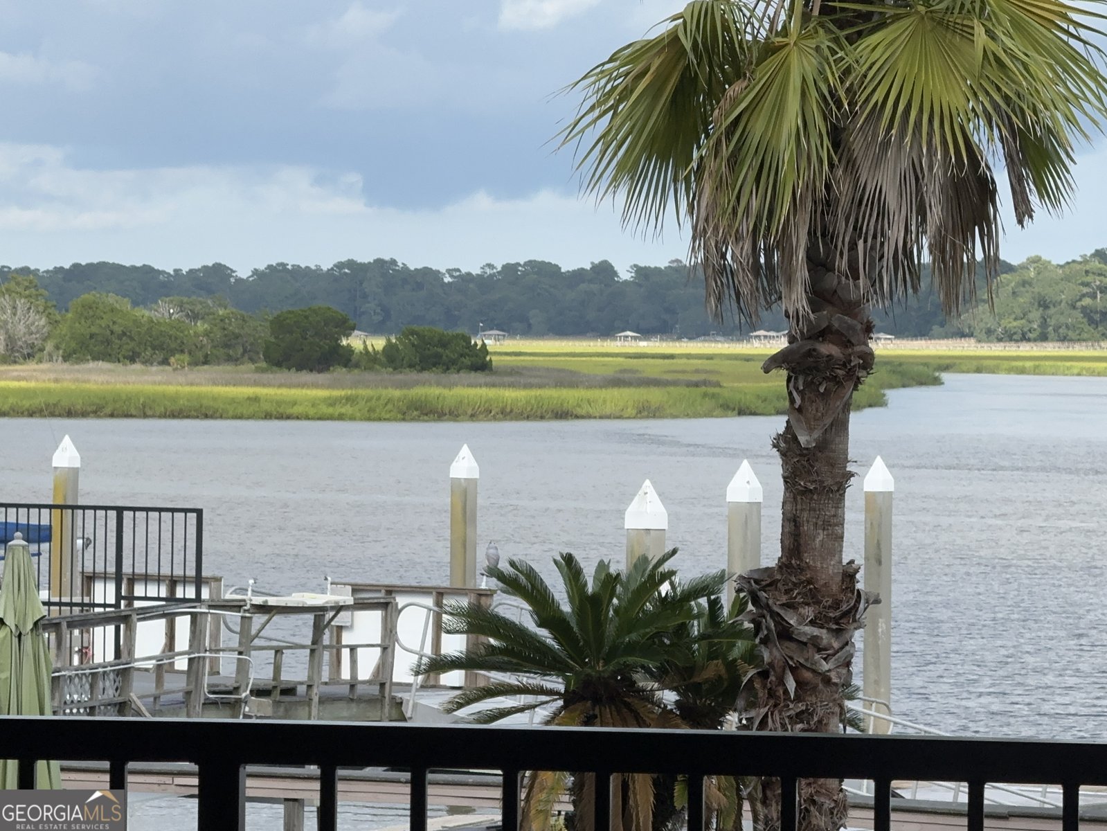 2902 River Drive Savannah - 39