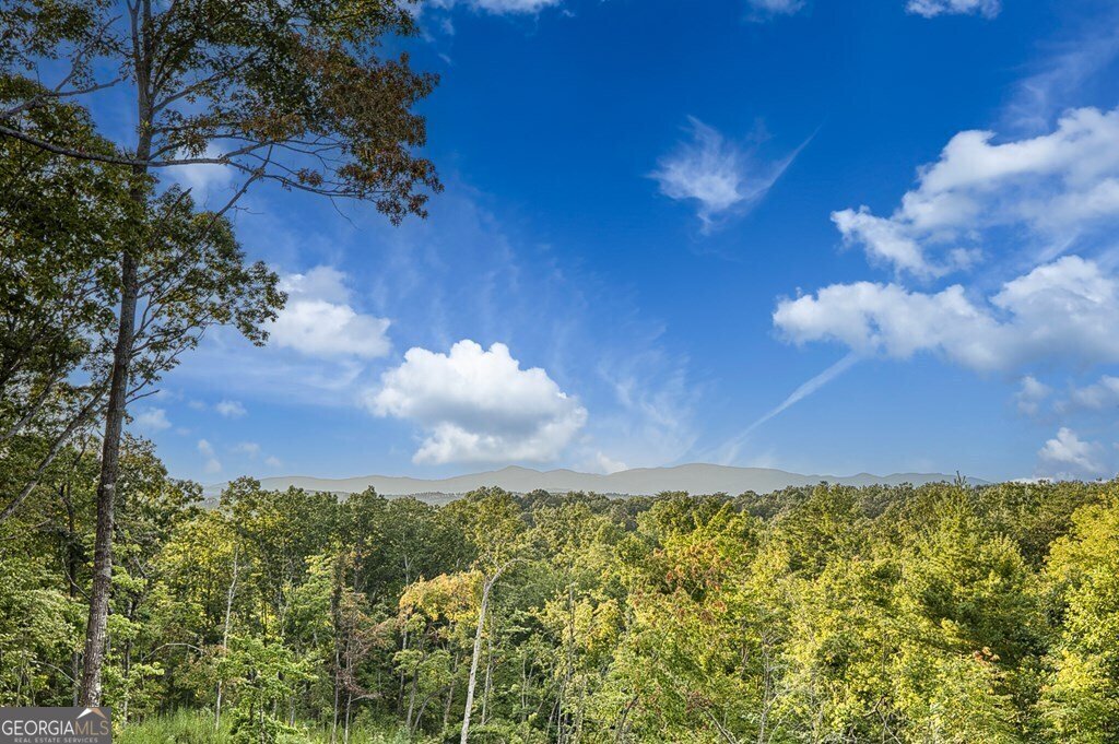 923 Big Timber Road Mineral Bluff - 4