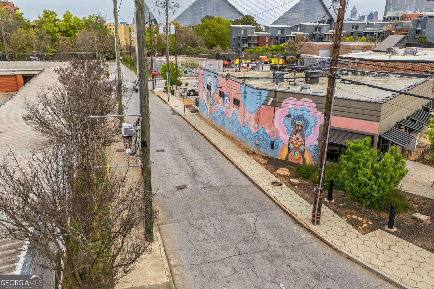 230 Bradberry Street Atlanta - 32