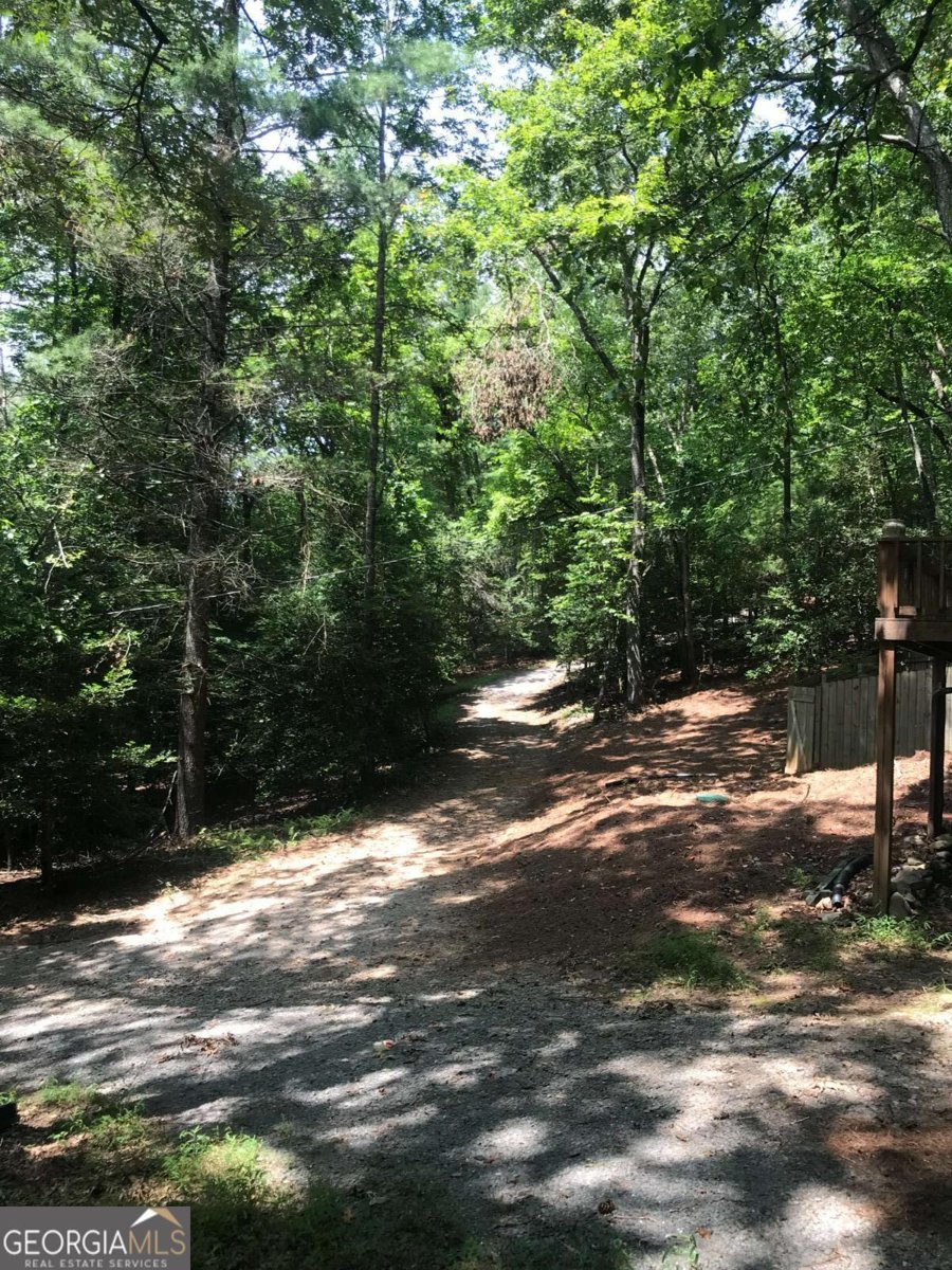 166 Mountain Top Drive Blue Ridge - 15