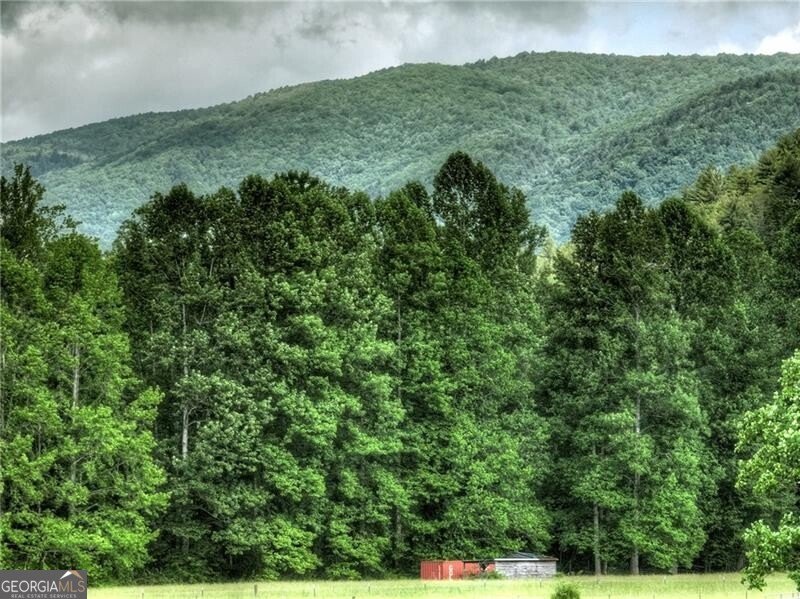 4545 Gates Chapel Road Ellijay - 5