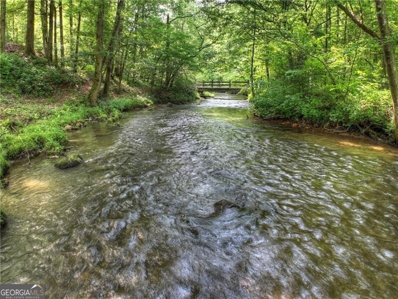4545 Gates Chapel Road Ellijay - 55