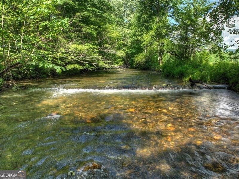 4545 Gates Chapel Road Ellijay - 56