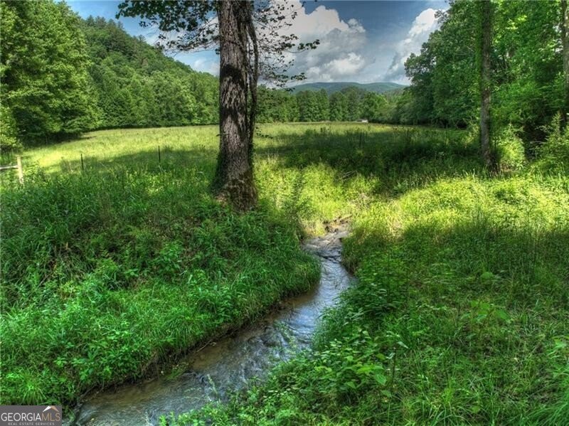 4545 Gates Chapel Road Ellijay - 58