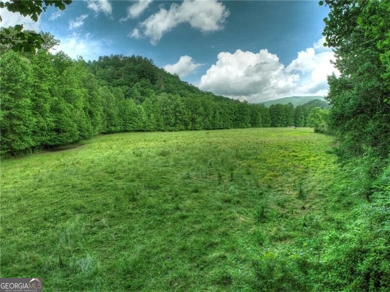 4545 Gates Chapel Road Ellijay - 59