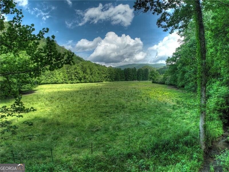 4545 Gates Chapel Road Ellijay - 60