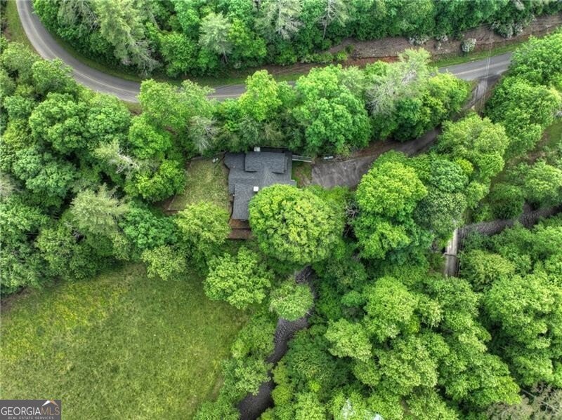 4545 Gates Chapel Road Ellijay - 63