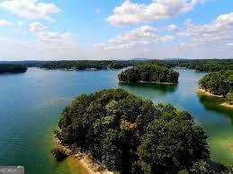 295 Sagamore Cove Sugar Hill - 53