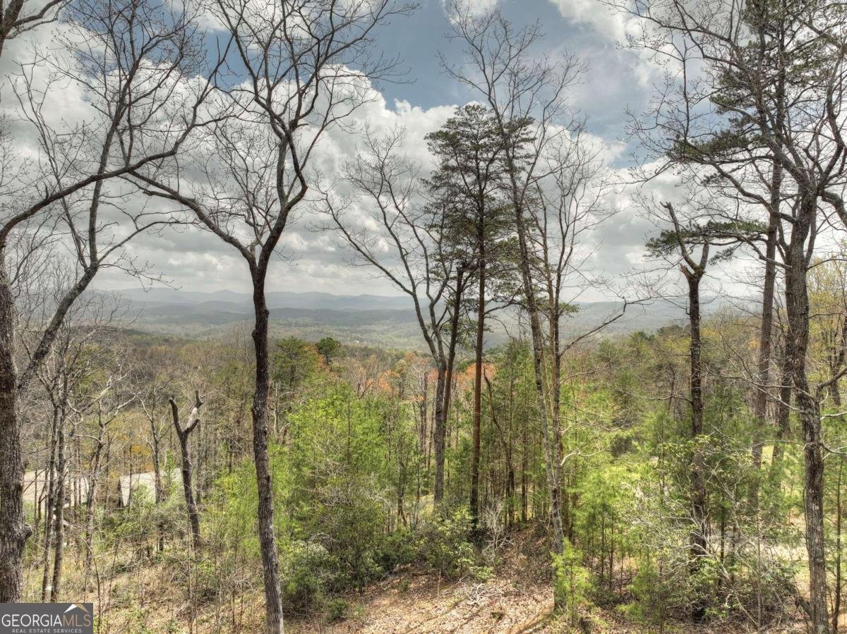 768 Cherokee Circle Ellijay - 22