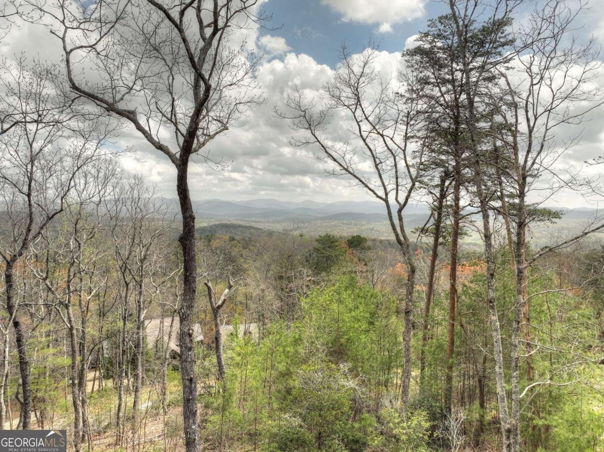 768 Cherokee Circle Ellijay - 30