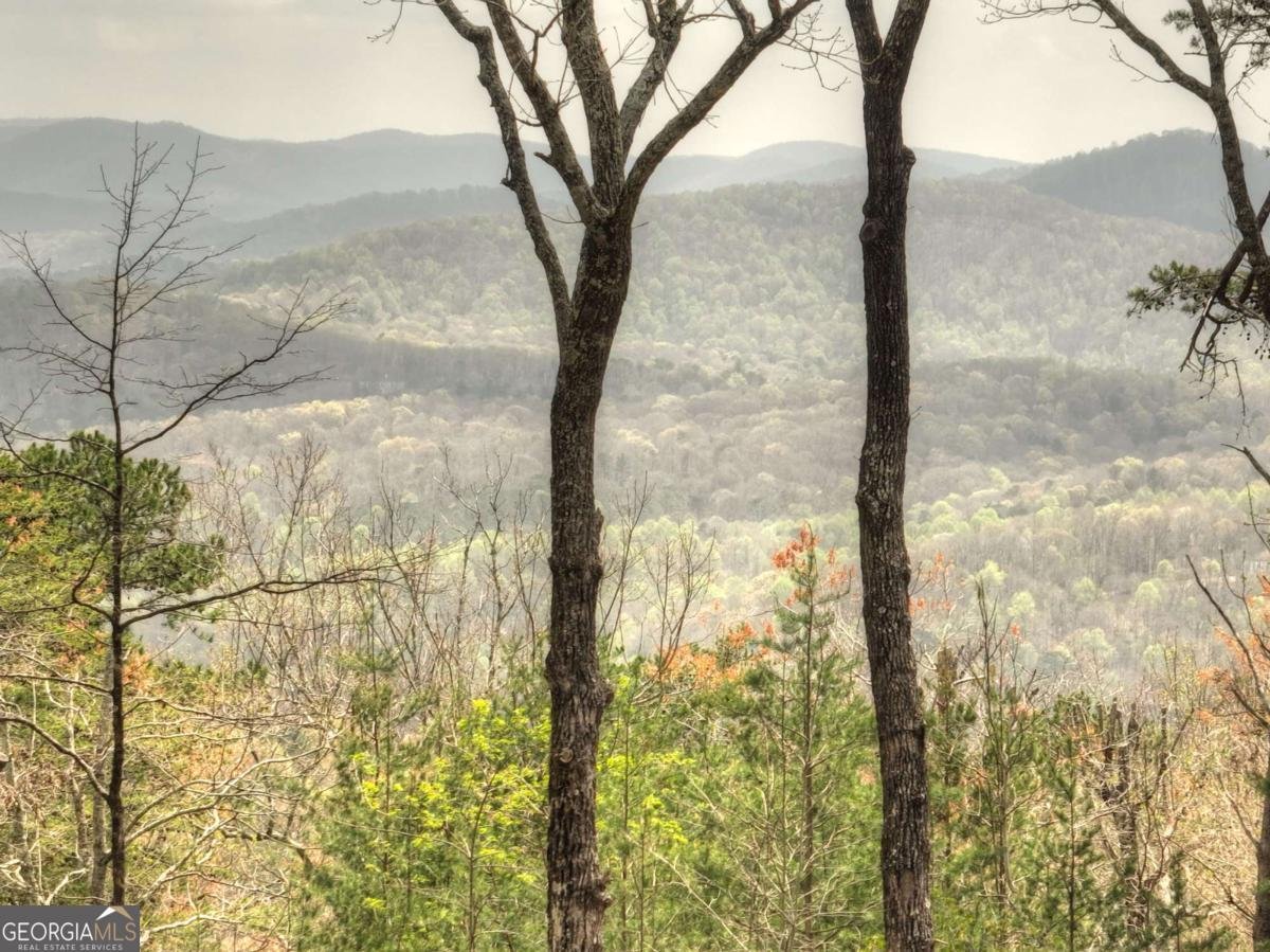 768 Cherokee Circle Ellijay - 31