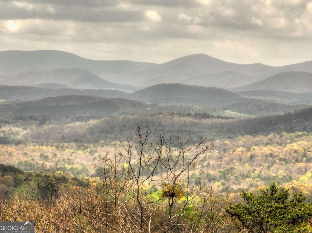 768 Cherokee Circle Ellijay - 32