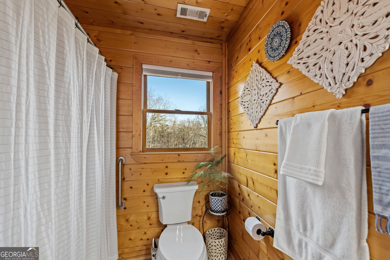 364 Bice Lane Blue Ridge - 36