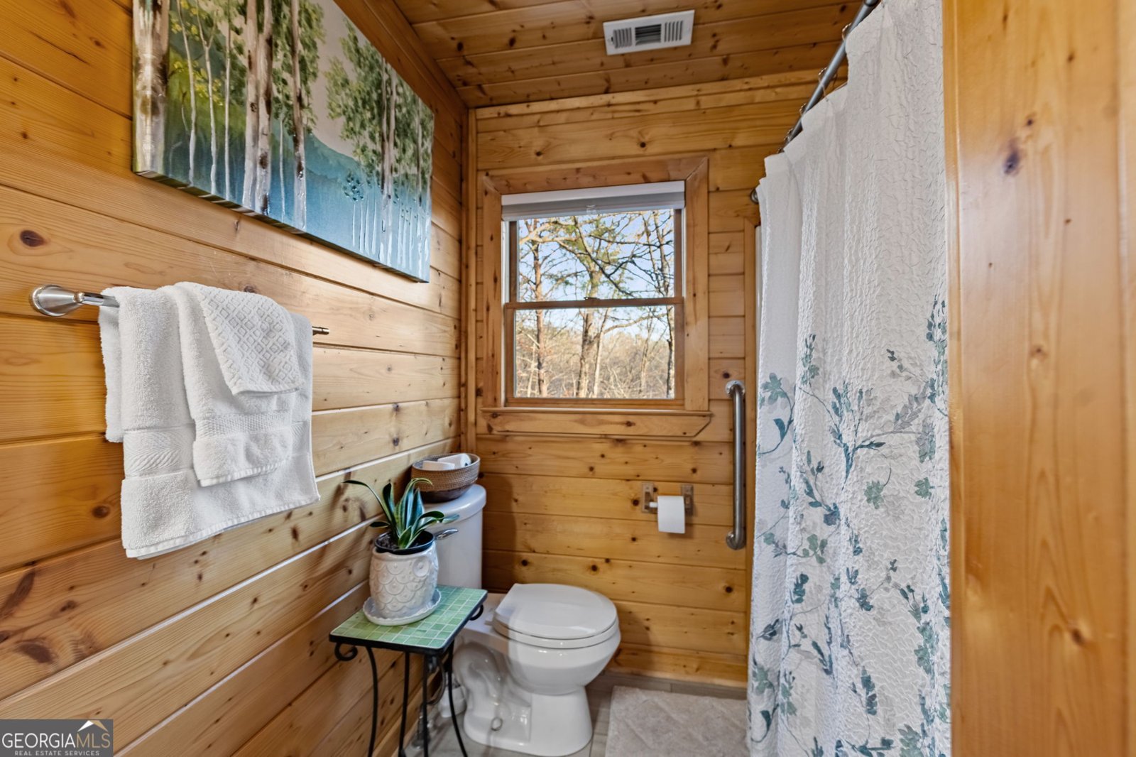 364 Bice Lane Blue Ridge - 42
