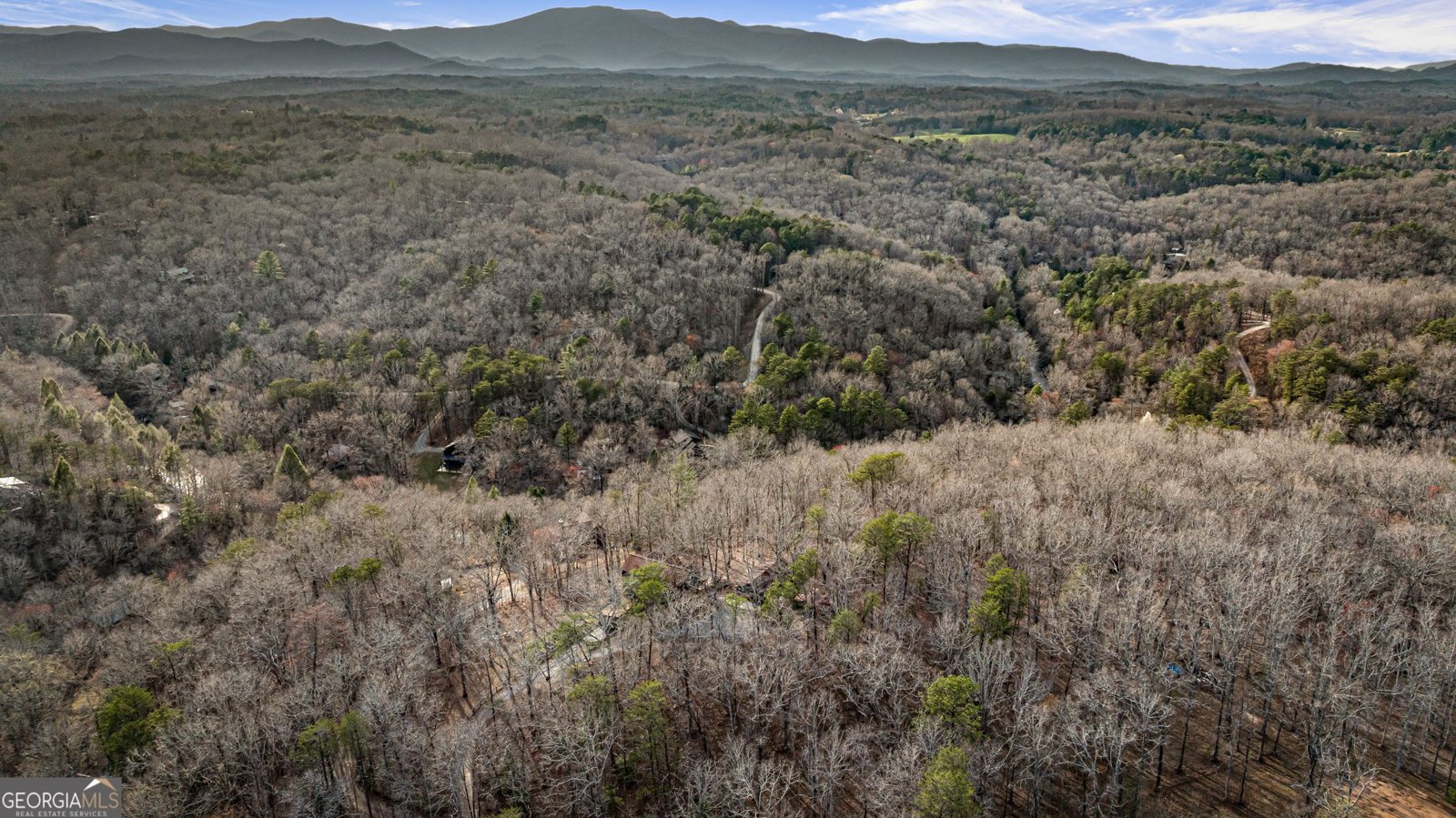 364 Bice Lane Blue Ridge - 53