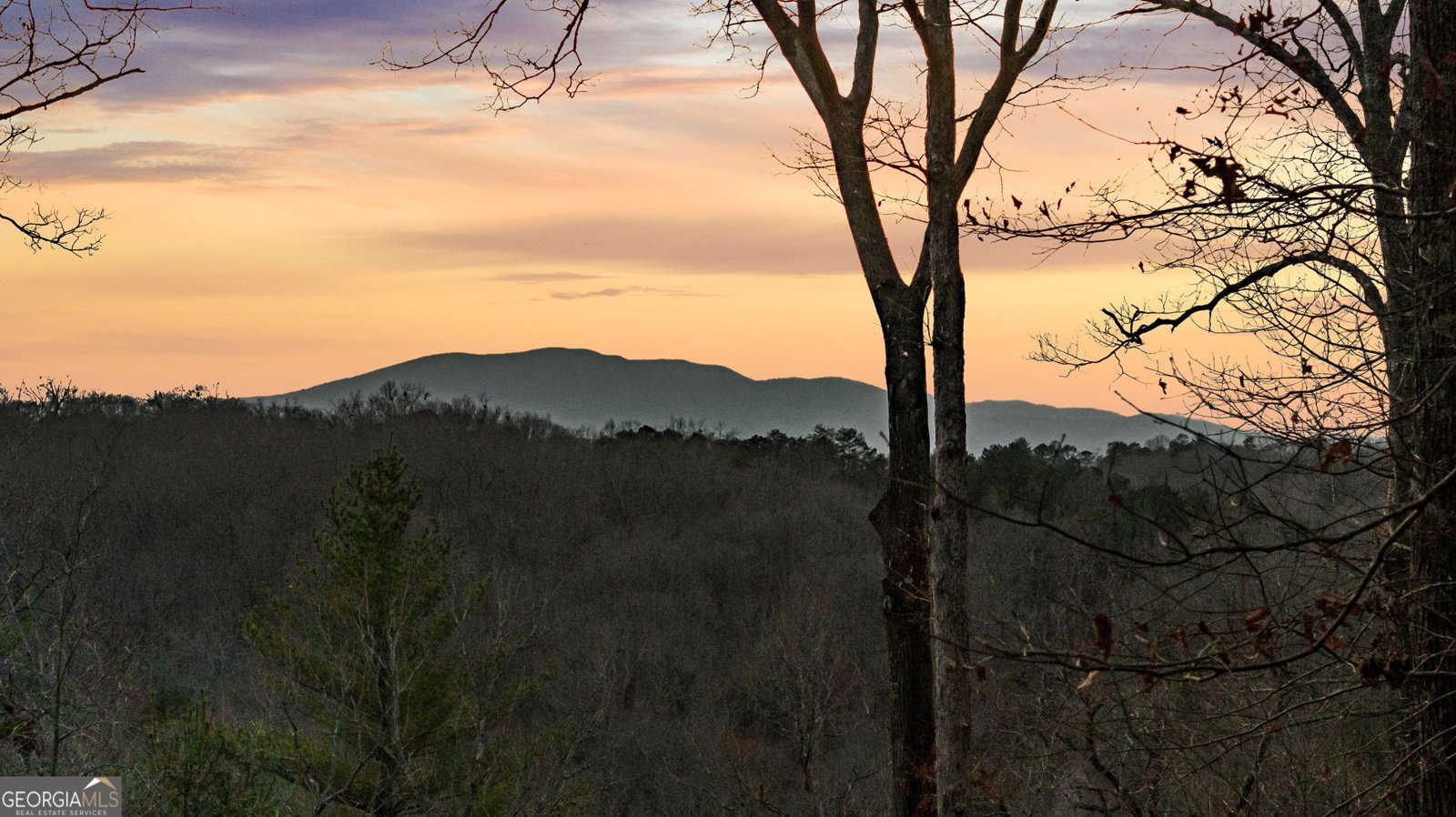 364 Bice Lane Blue Ridge - 6