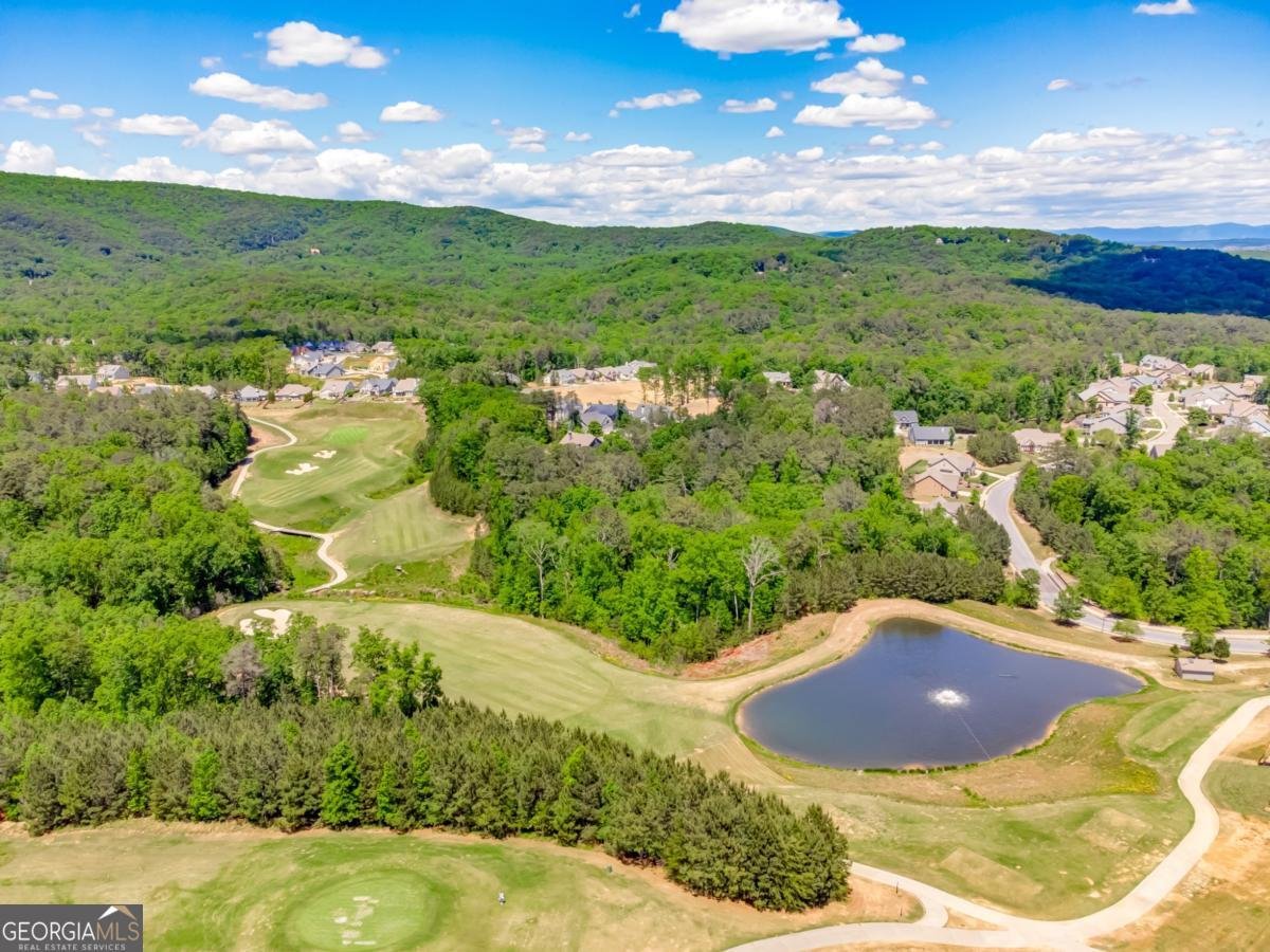 121 Moose Loop Waleska - 44