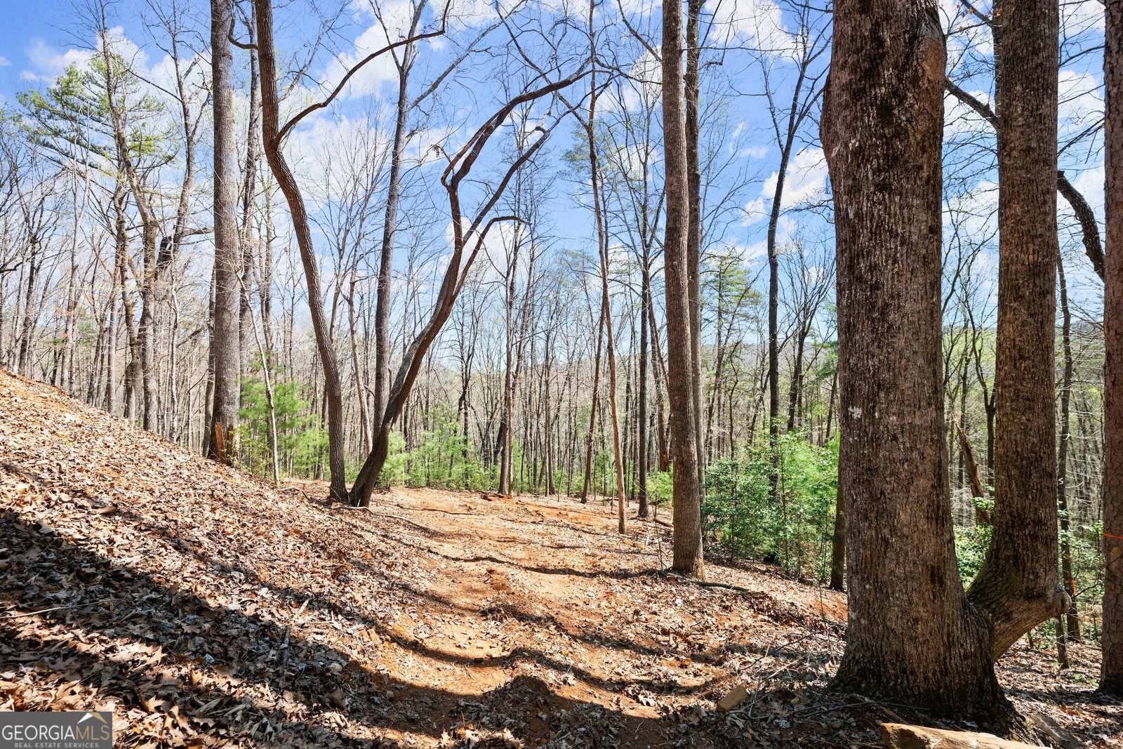 220 Old Kelly Ridge Road Clarkesville - 26