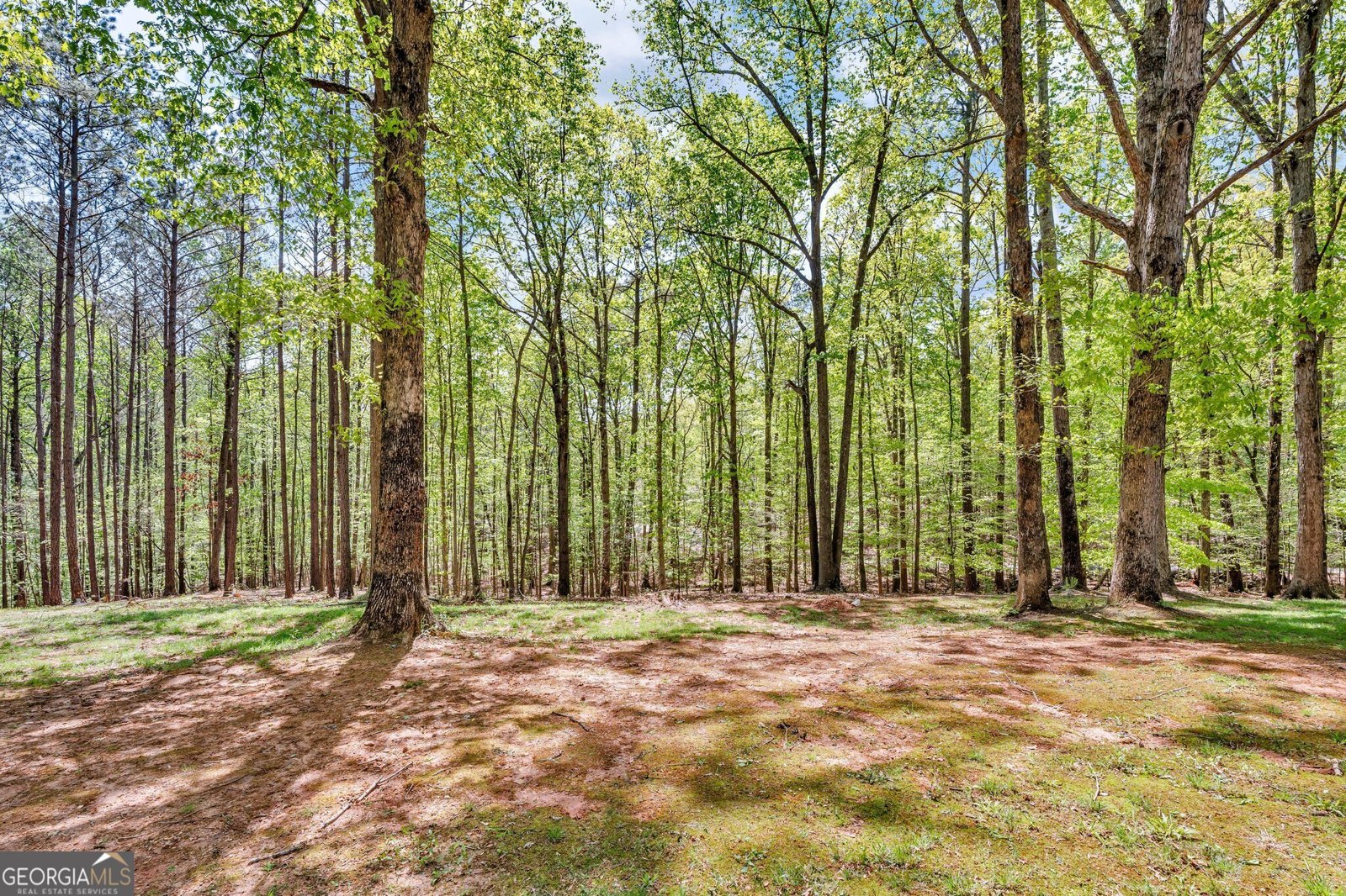4336 YANCEY Road Douglasville - 12