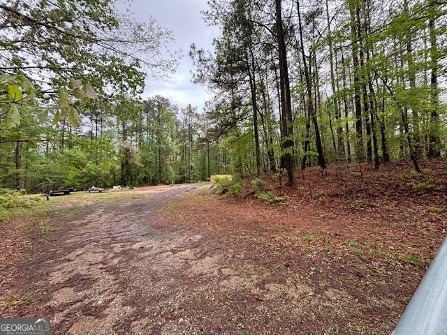 285 Glen Road Conyers - 38