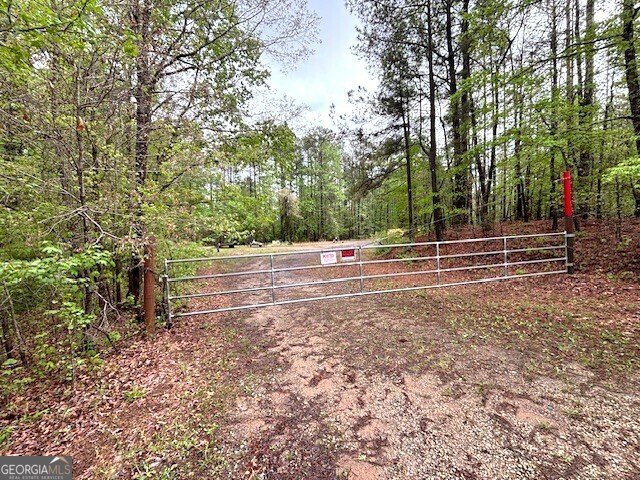 285 Glen Road Conyers - 45