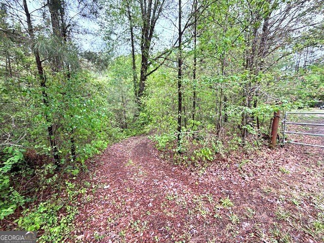 285 Glen Road Conyers - 46