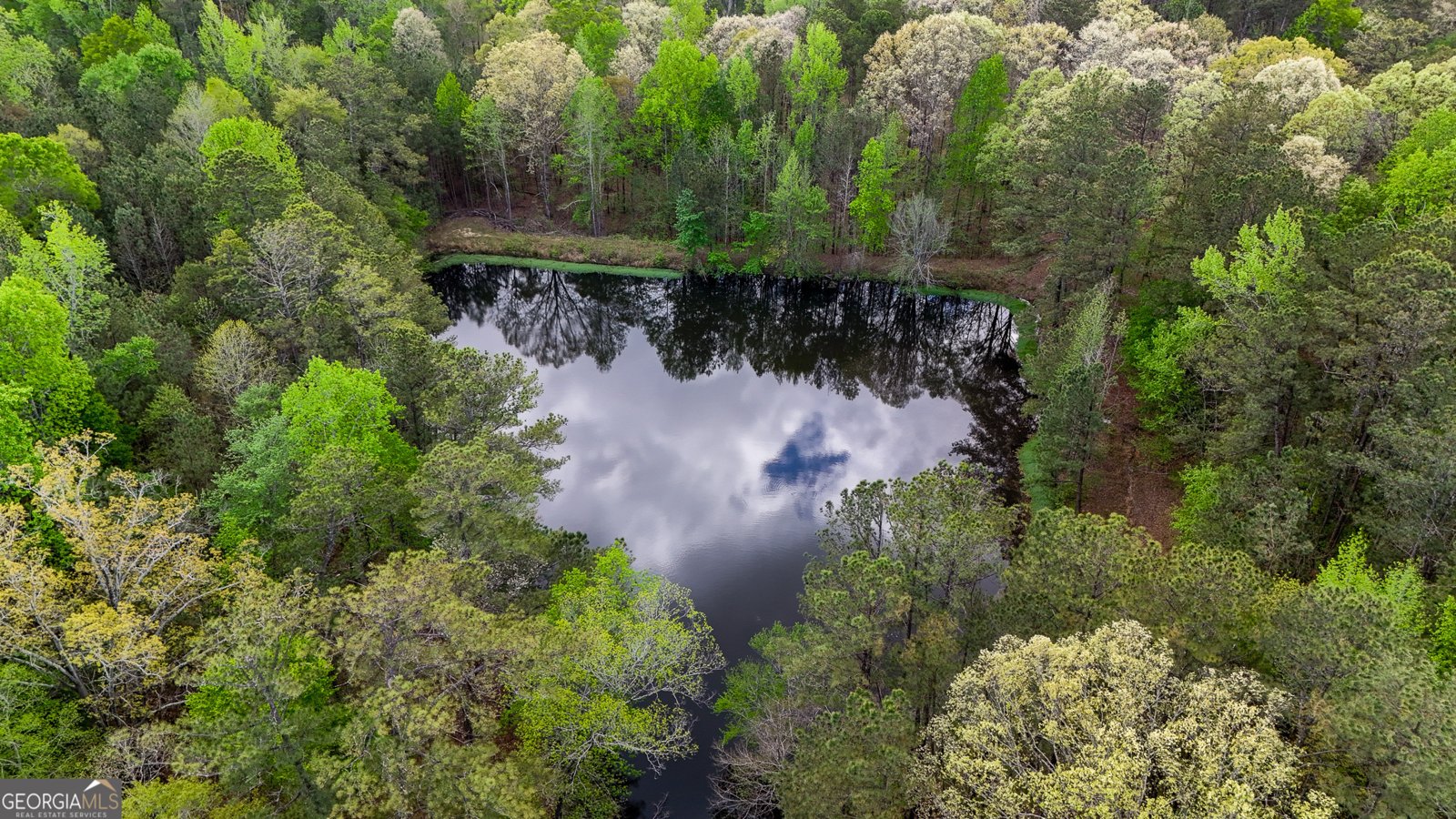 285 Glen Road Conyers - 50