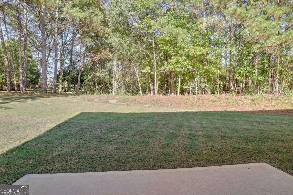 4066 Wild Orchid Lane Loganville - 18