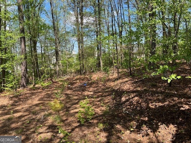 506 Carlton Drive Palmetto - 13