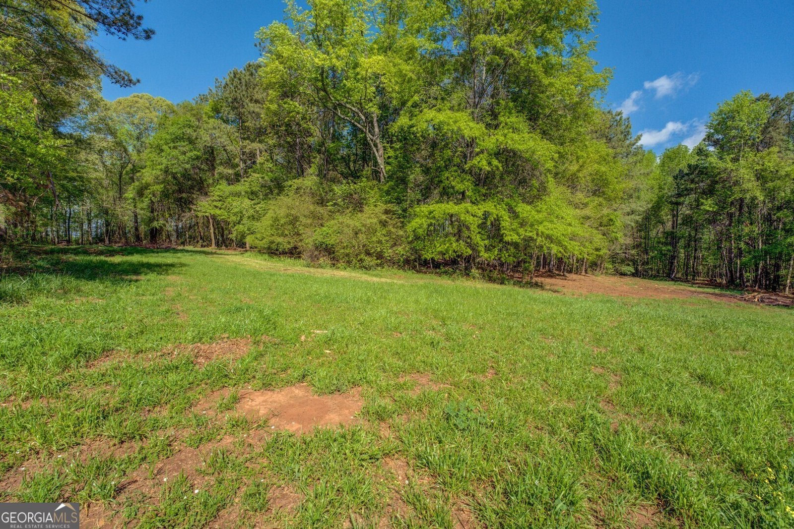 3011 Broughton Road Newborn - 1