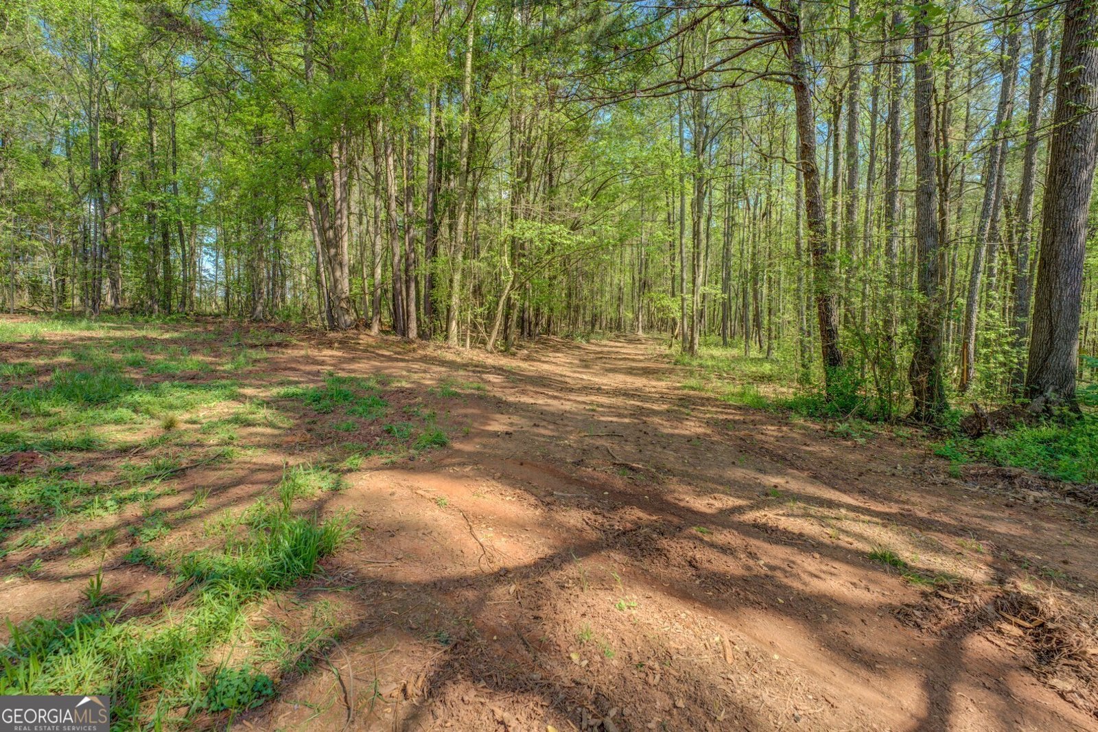 3011 Broughton Road Newborn - 2