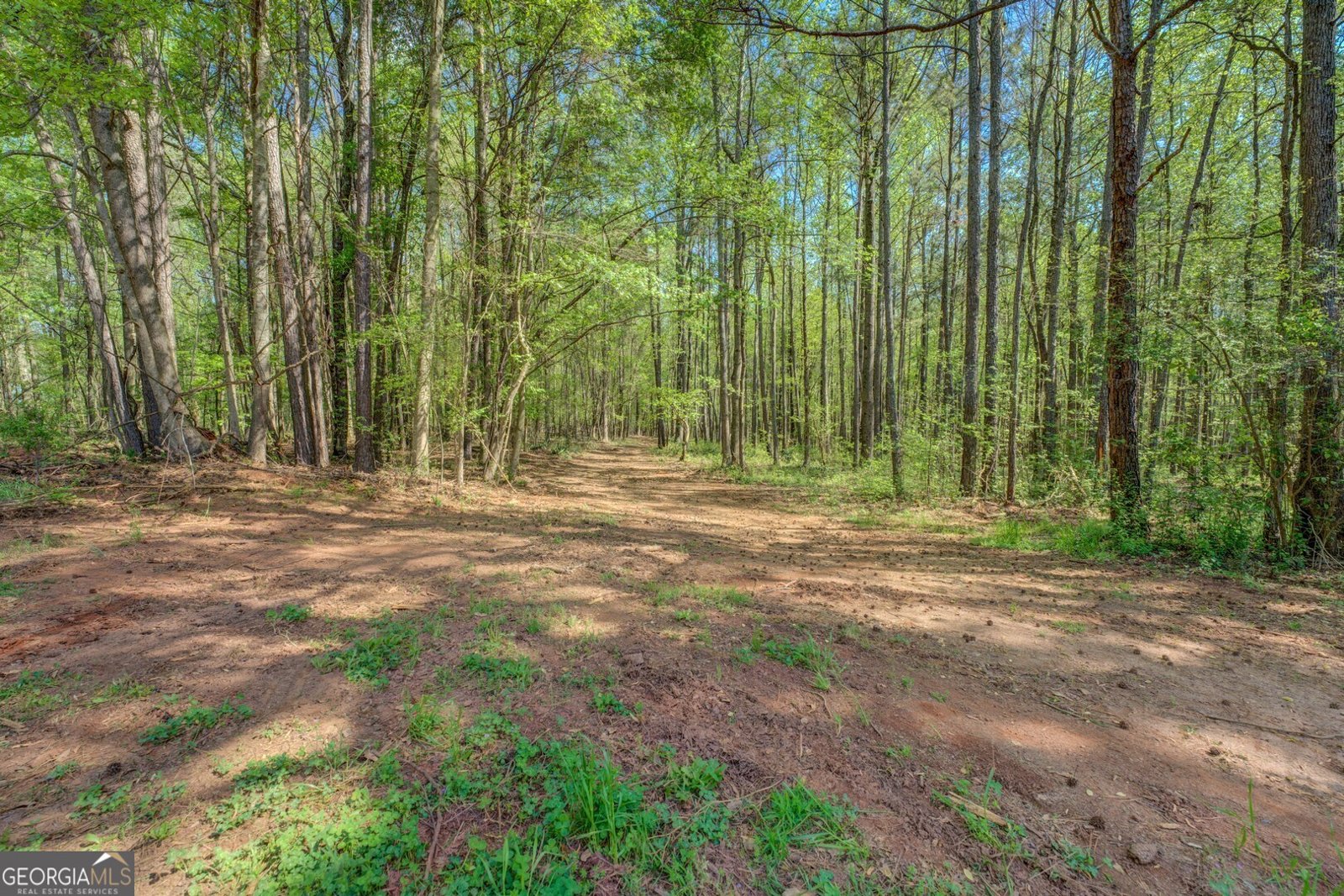 3011 Broughton Road Newborn - 3