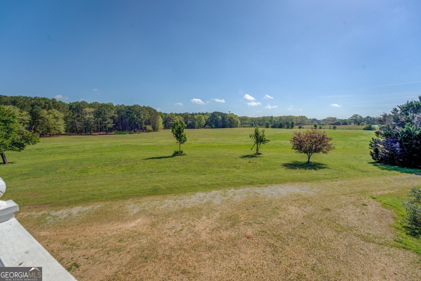 3011 Broughton Road Newborn - 46