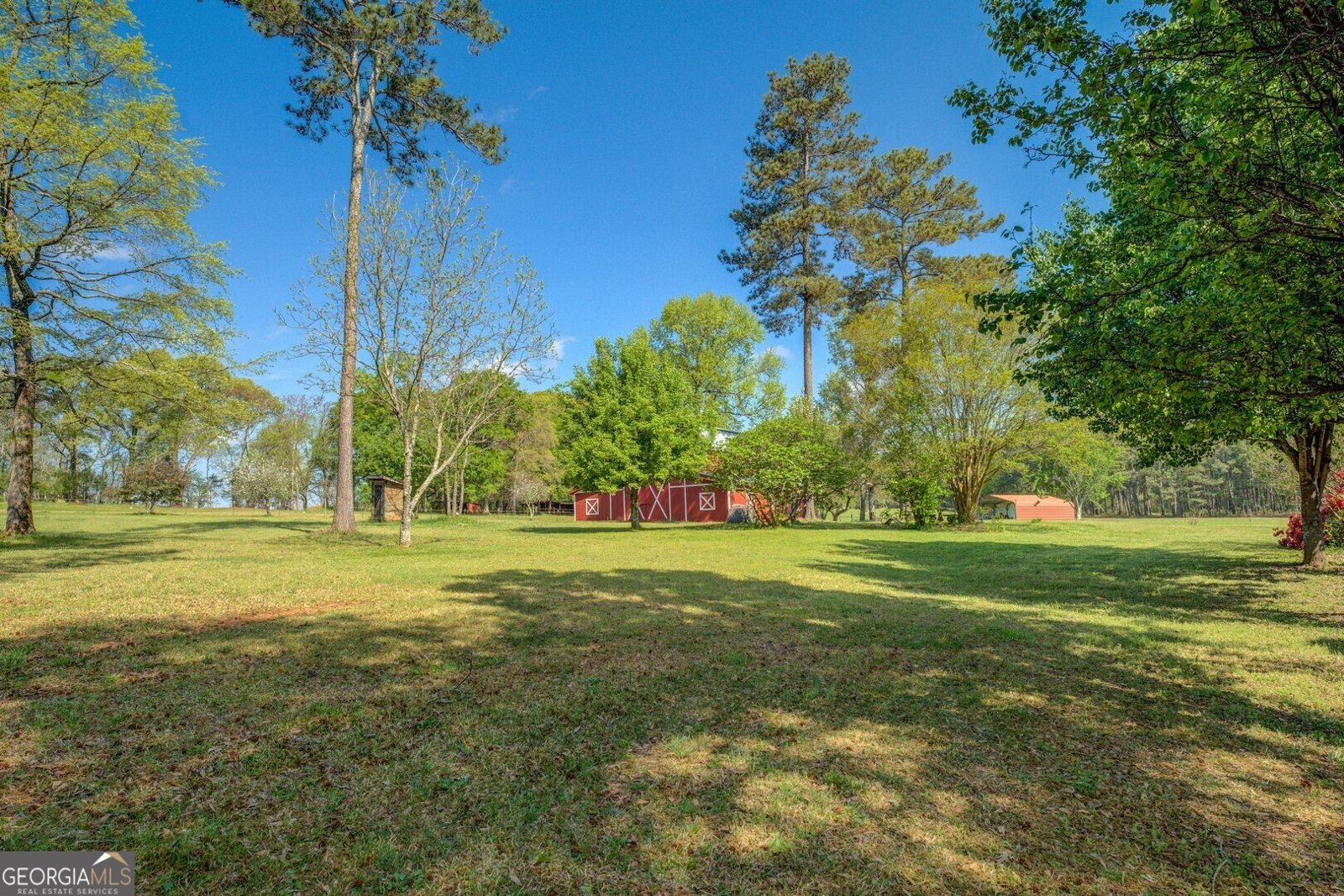 3011 Broughton Road Newborn - 52