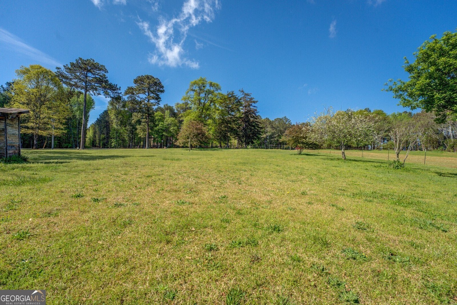 3011 Broughton Road Newborn - 58