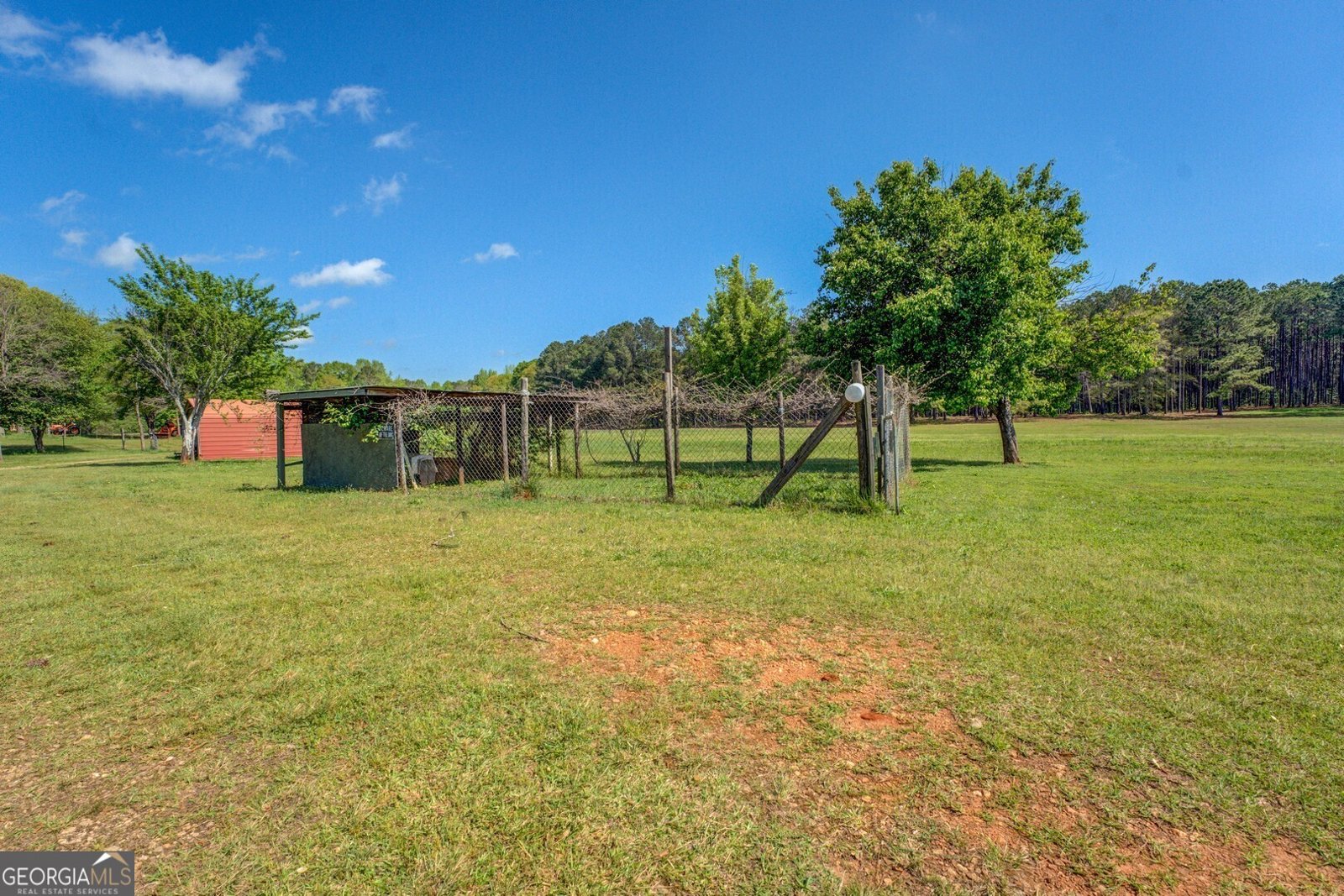 3011 Broughton Road Newborn - 59