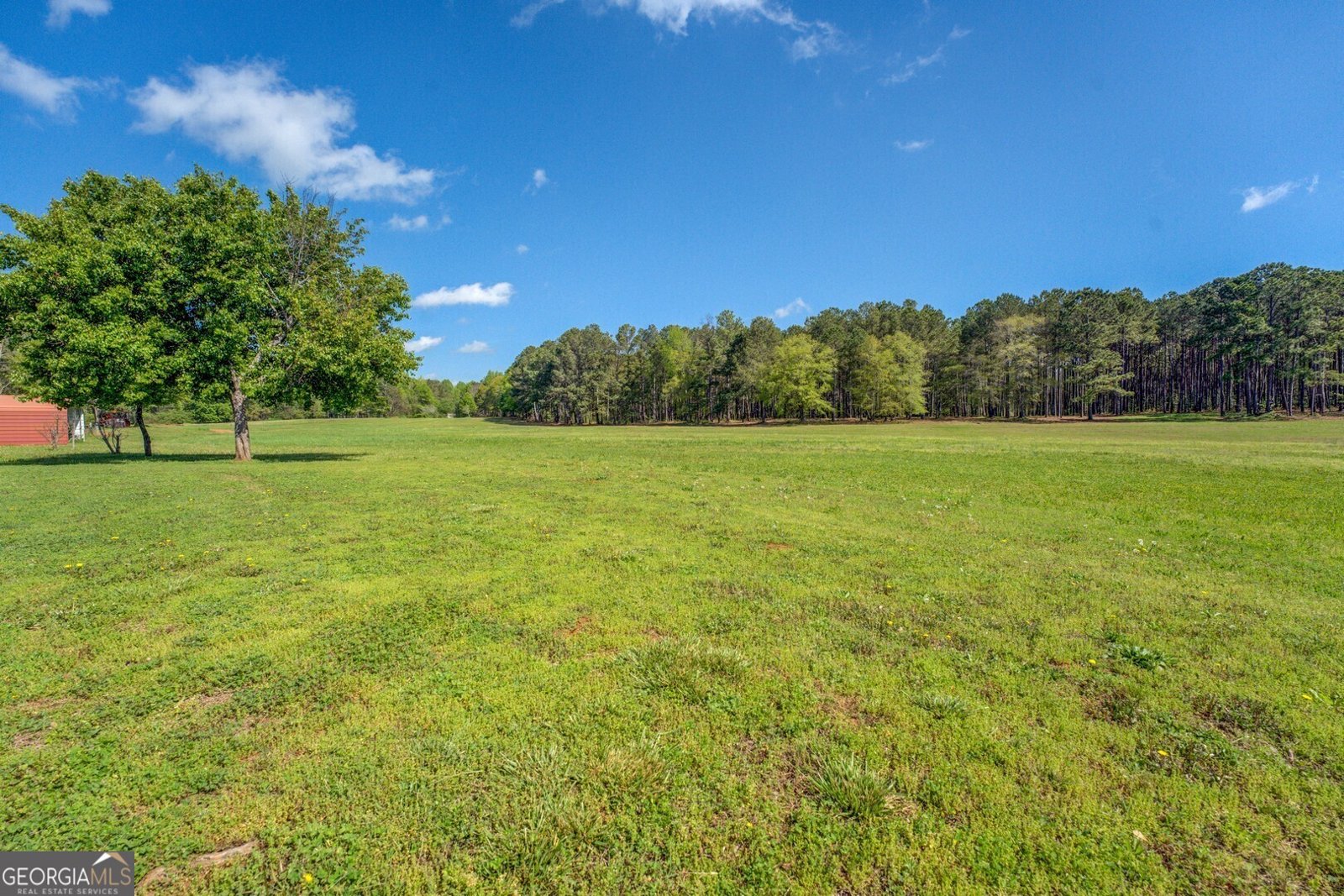 3011 Broughton Road Newborn - 61