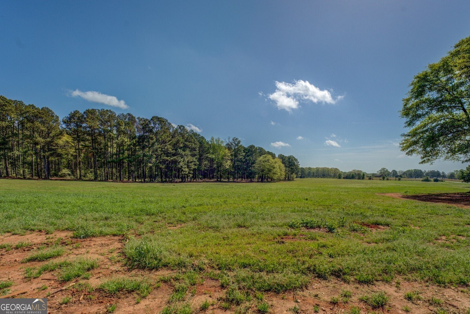 3011 Broughton Road Newborn - 66
