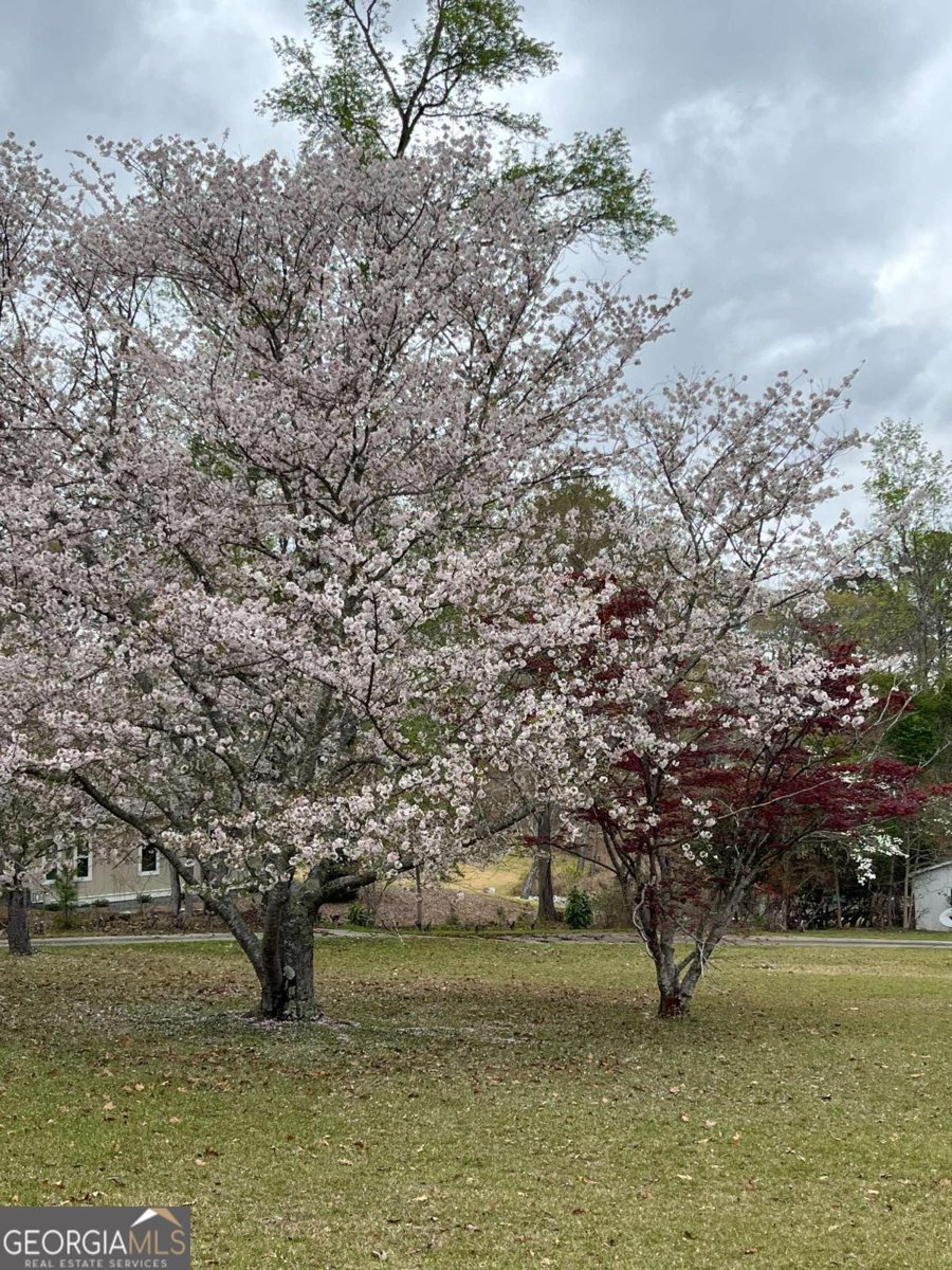 235 Lakeview Drive Milledgeville - 23