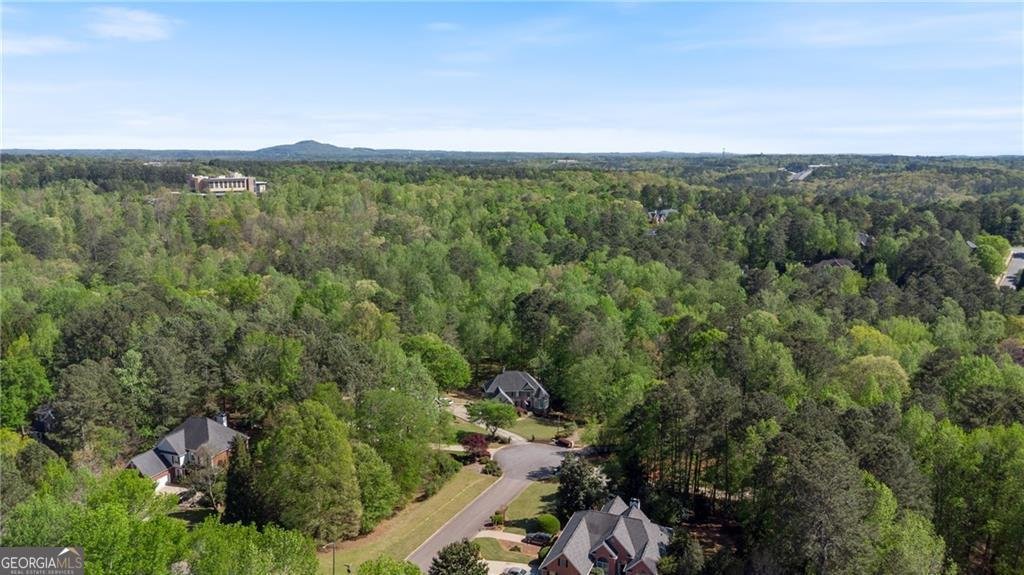 104 Kremer Falls Trace Canton - 64