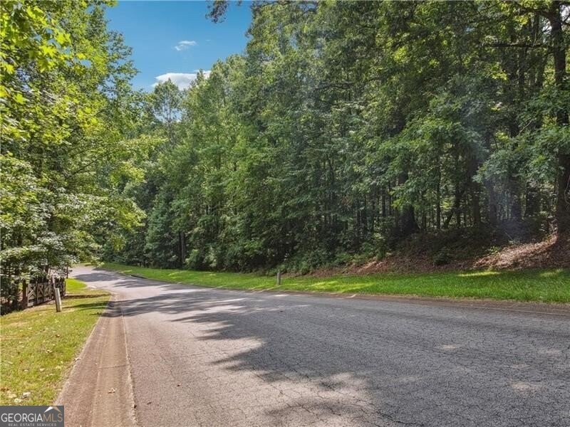 146 Sherwood Lane Canton - 5