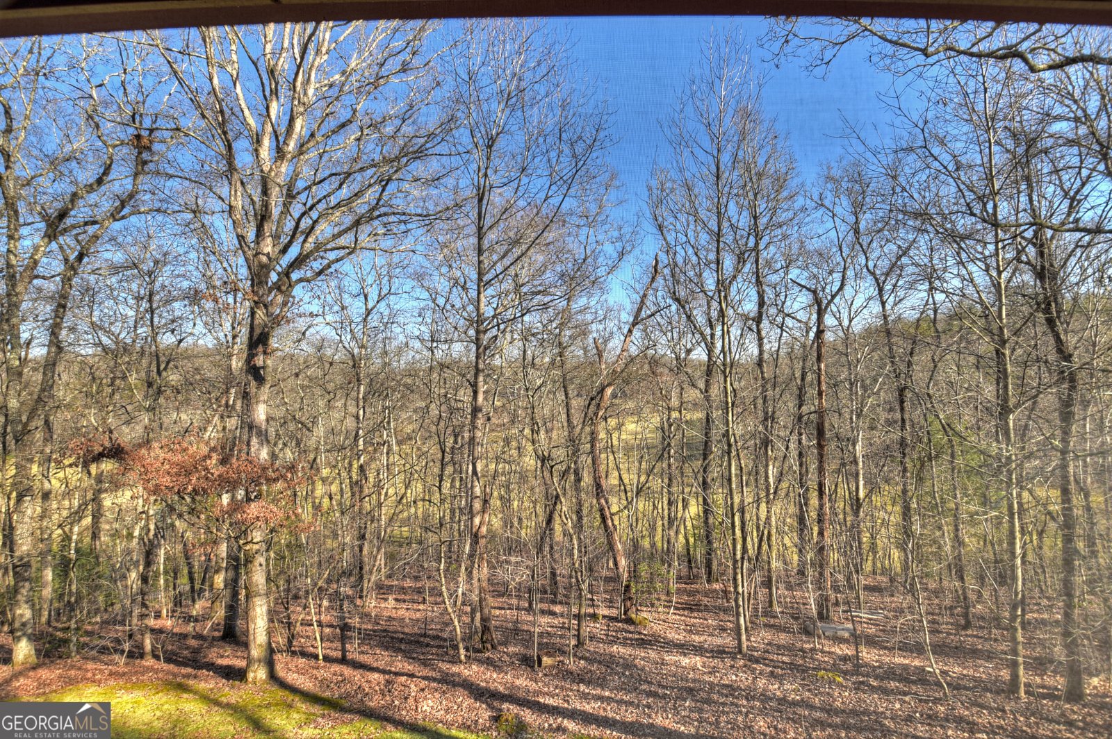 119 Hidden Acres Drive Mineral Bluff - 22