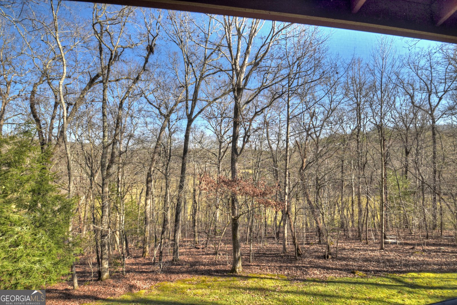 119 Hidden Acres Drive Mineral Bluff - 3