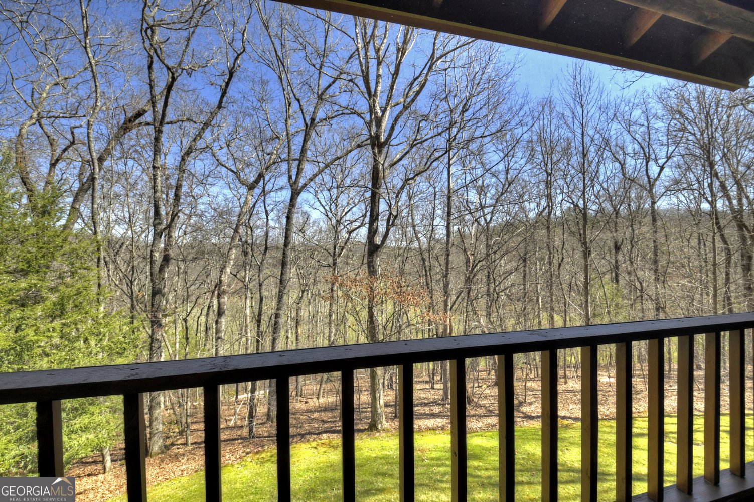 119 Hidden Acres Drive Mineral Bluff - 31