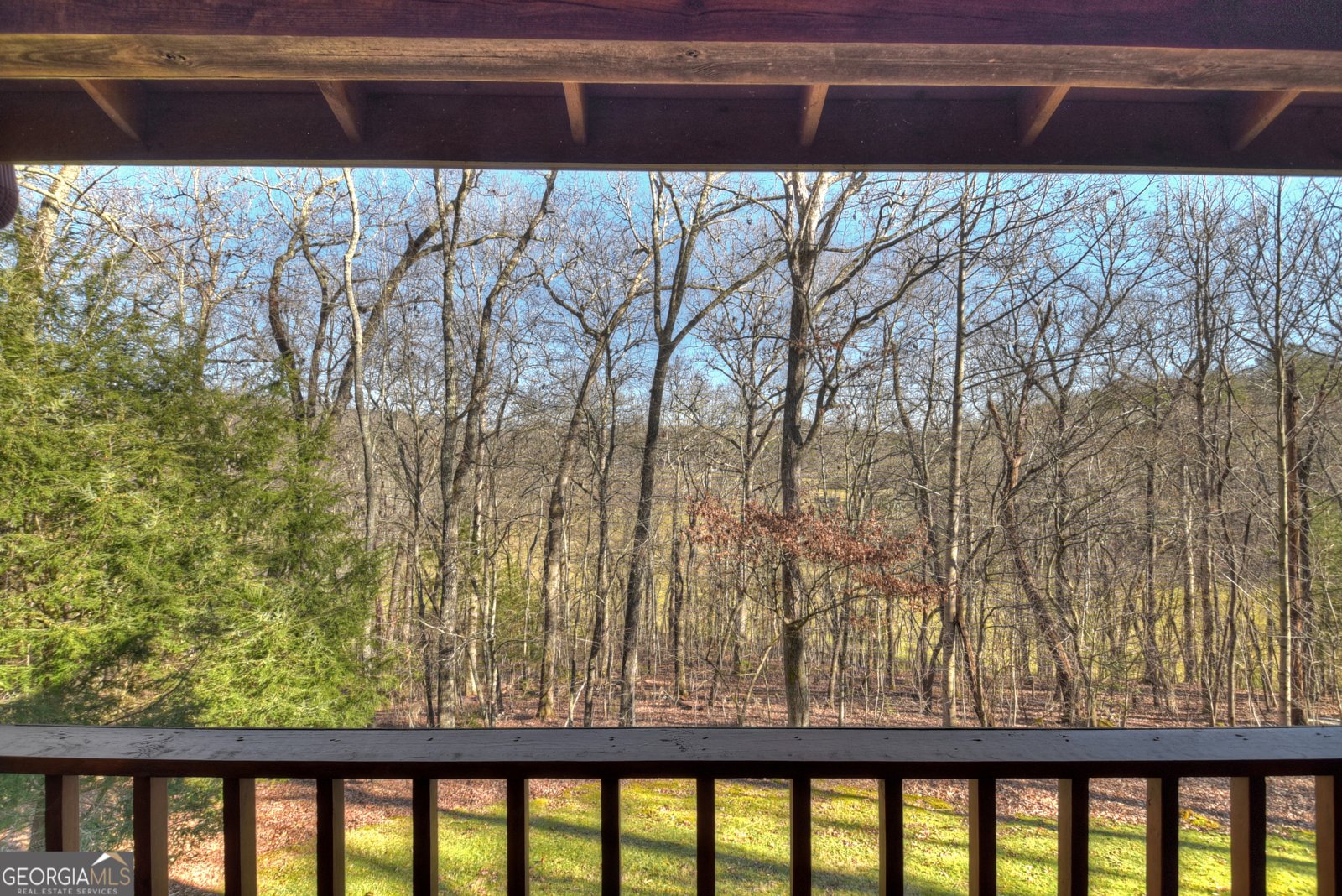 119 Hidden Acres Drive Mineral Bluff - 5