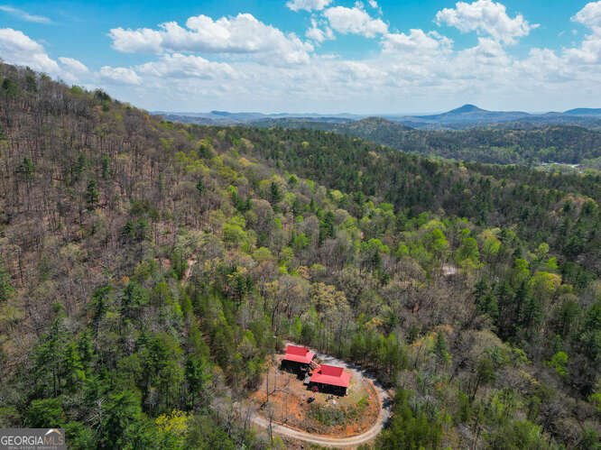 389 Wilderland Trail Helen - 111