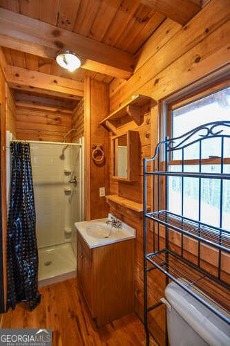 389 Wilderland Trail Helen - 24