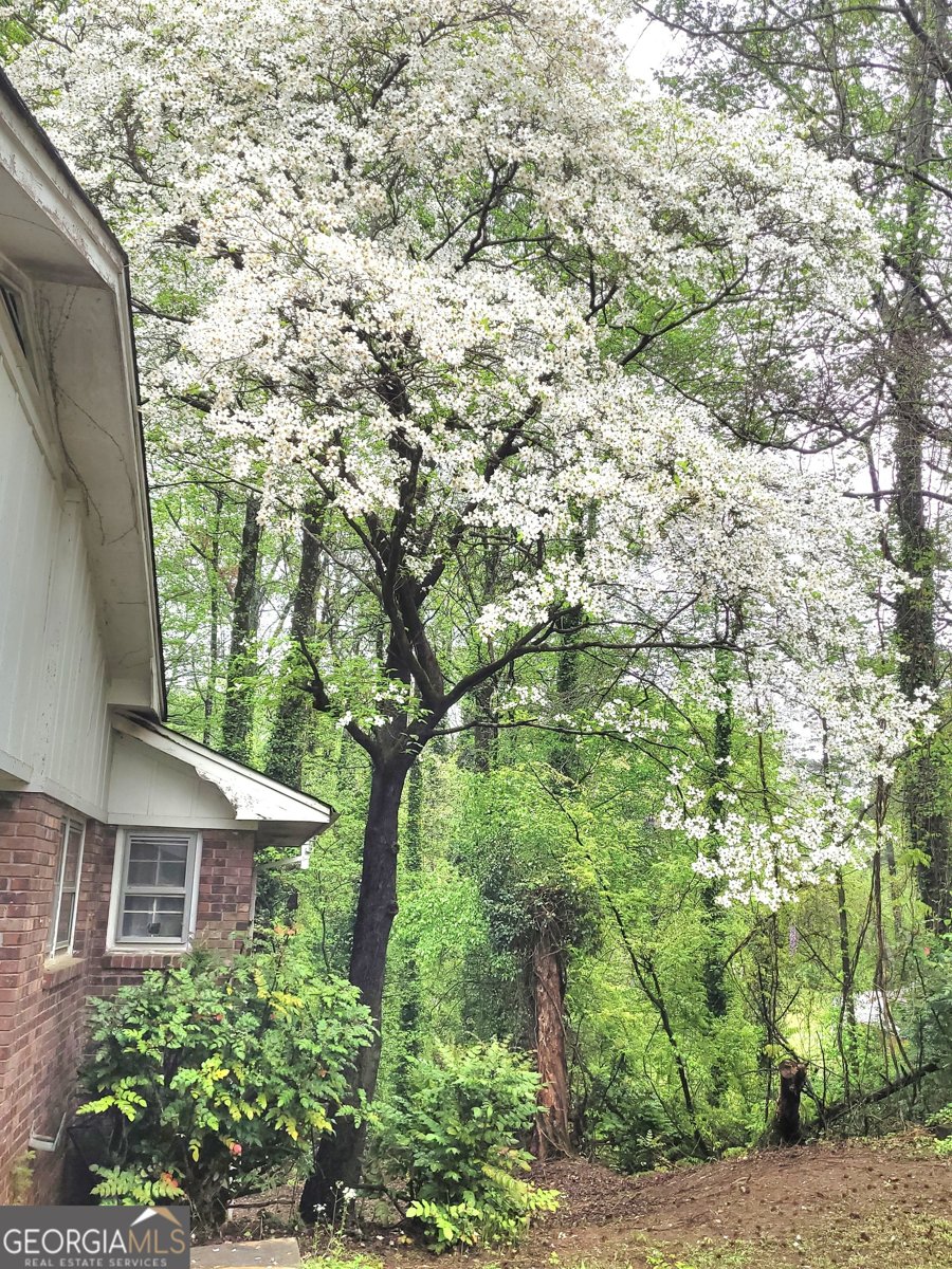 1256 Piedmont Road Marietta - 6