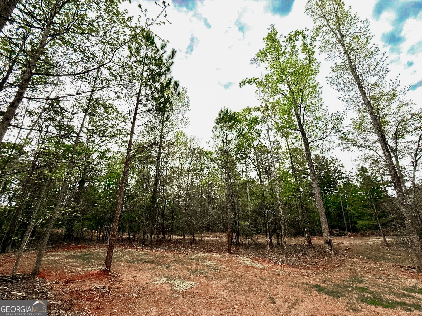 2126 Amberly Road Elberton - 101